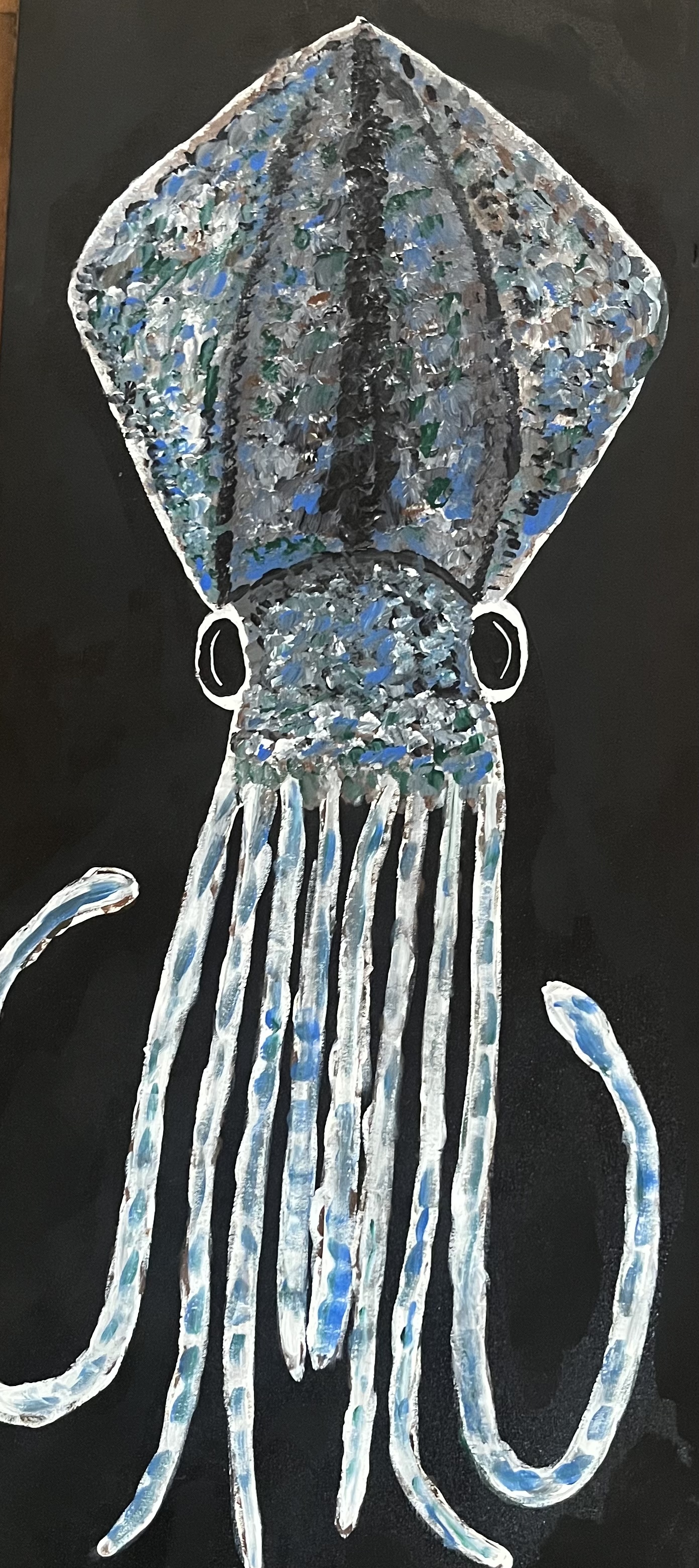 Squid drawing